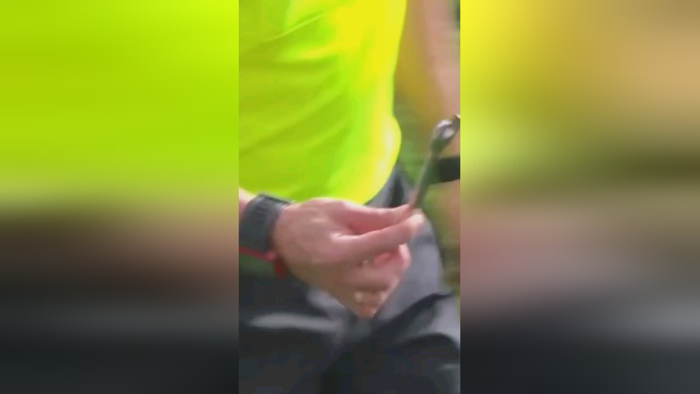 力和